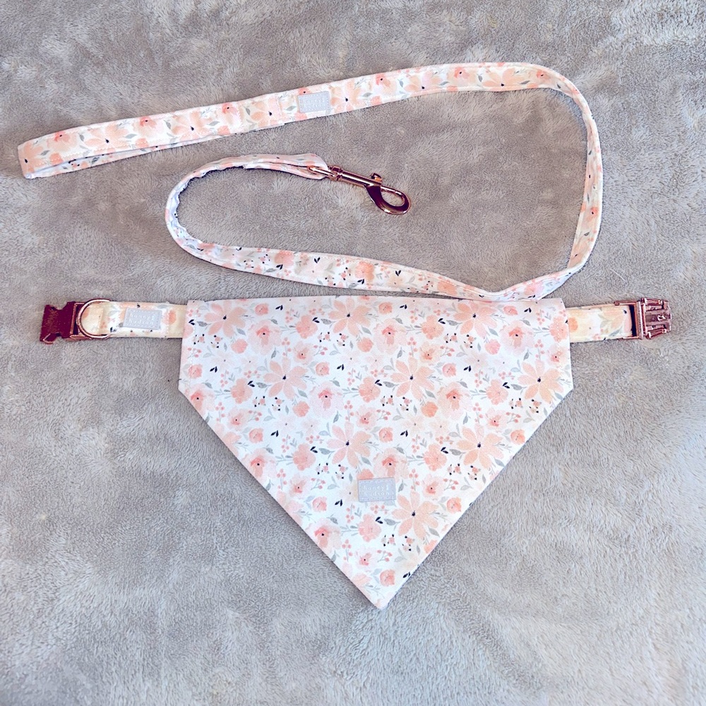 Set of dog collar, bandana and leash